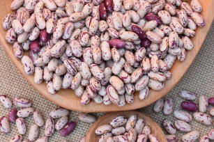 Image of Beans - BRS FS311