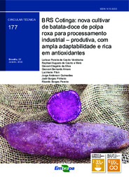 Thumbnail de BRS Cotinga: nova cultivar de batata-doce de polpa roxa para processamento industrial - produtiva, com ampla adaptabilidade e rica em antioxidantes.